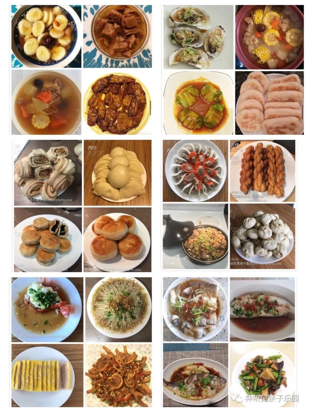 Longyan Zhu — photo 10