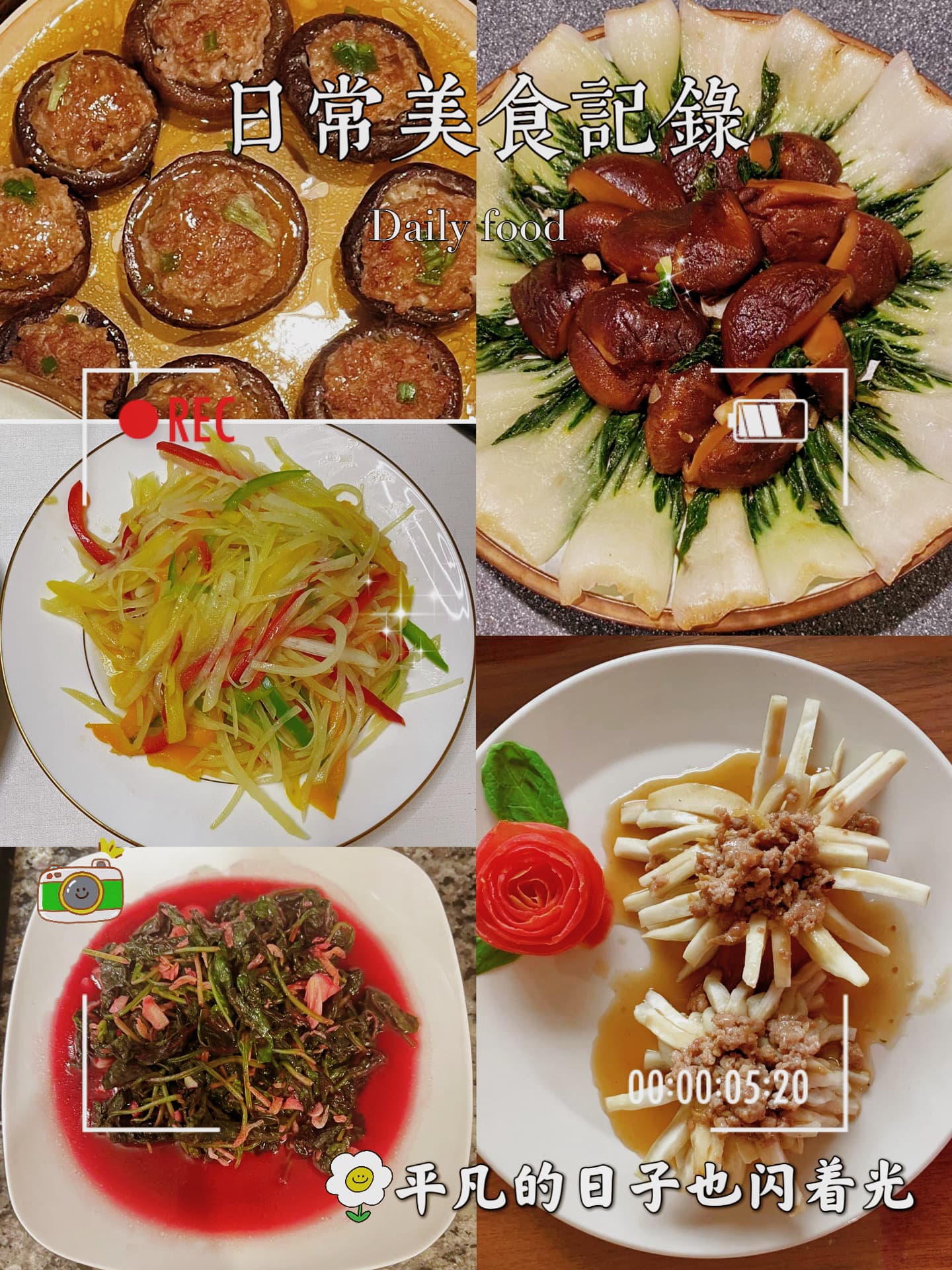 Aizhu Qi — photo 15